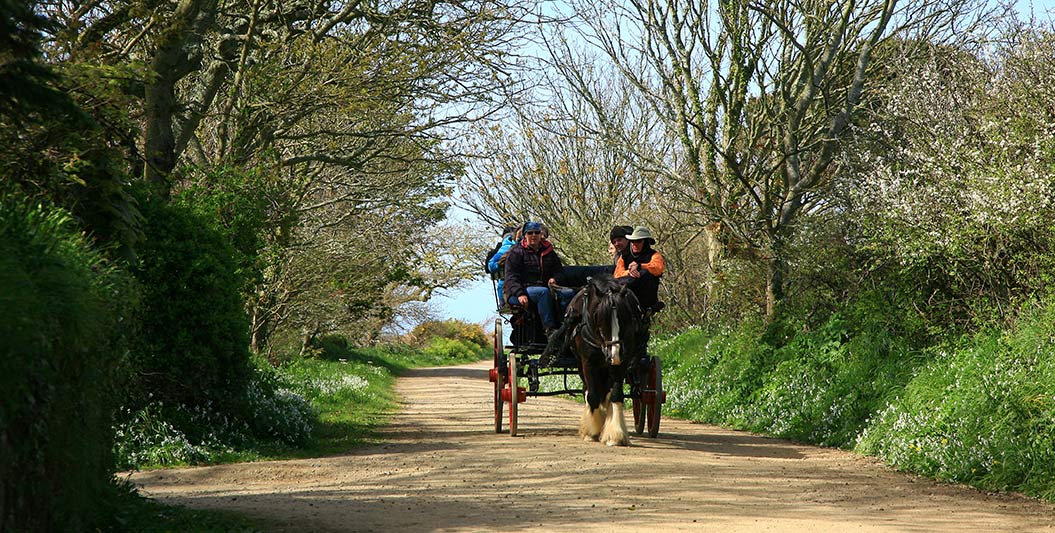 Walkers Britain Things to do in Guernsey 5 Top Attractions